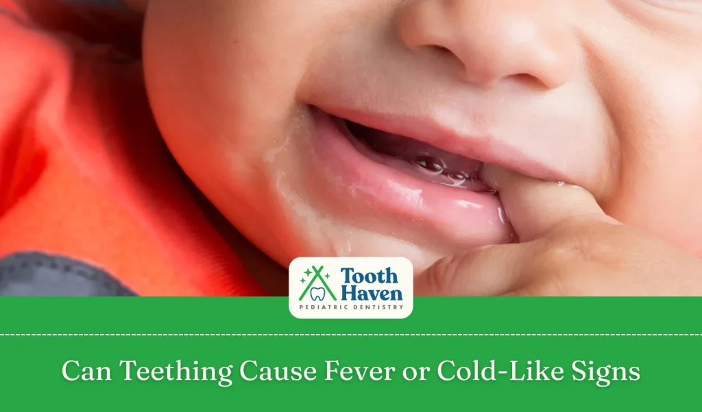 Can Teething Cause Fever or Cold-Like Signs